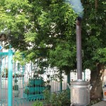 2015-05-31-07